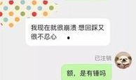 视频爆料投稿有哪些,幕后故事与热门话题盘点