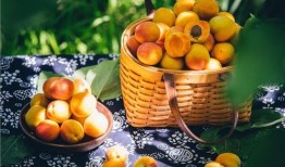 百果园爆料视频最新版,独家内幕大公开！