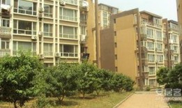 大连东财苑最新爆料,揭秘神秘项目背后的真相！”