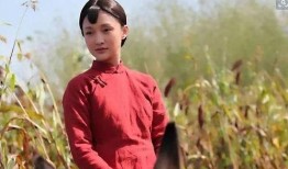 电视剧红高粱在线观看完整版,激情燃烧的岁月，热血沸腾的传奇