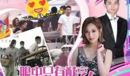 谭小姐最新爆料新闻,揭秘娱乐圈惊人内幕