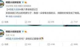 撒贝宁爆料明侦视频大全,明侦视频大全背后的精彩瞬间