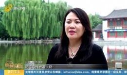 北京网红爆料是谁啊视频,是谁引发网友热议？”