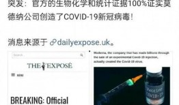 全球病毒最新爆料新闻,多国疫情动态与变异病毒追踪