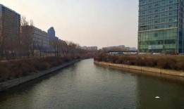 长春荷园路最新爆料,揭秘荷园路改造背后的故事