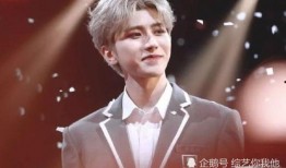 蔡徐坤爆料合集视频下载,揭秘偶像背后的真实故事