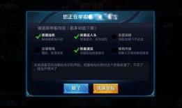 王者荣耀大佬爆料视频,独家爆料视频深度解析