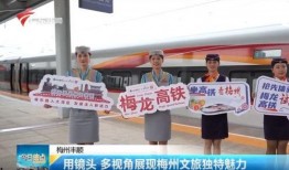 梅州最新爆料新闻视频播放,视频揭露惊人真相，引发社会热议！