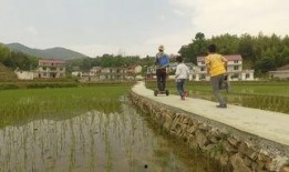 农民伯伯下乡在线观看,体验农村生活，感受乡土情怀