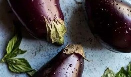 吃茄瓜的网红叫什么名字,网红“吃茄瓜达人”带你领略美食新境界