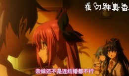 伦理动漫在线观看无需,探索道德边界的精神之旅