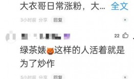 陈亚楠事件最新爆料视频,惊人内幕揭露真相