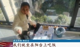 全家带凳子吃瓜免费全集,一场欢乐的夏日盛宴