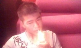 法国刘哥爆料视频大全,视频大全背后的精彩故事