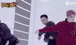 鹿晗反面爆料视频大全,背后真相与争议视频大盘点