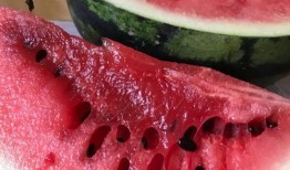 山南以北的瓜最新爆料