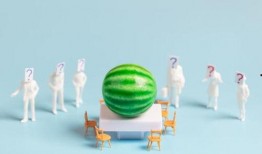 海外最新吃瓜爆料免费观看,揭秘海外最新吃瓜爆料，免费观看精彩瞬间