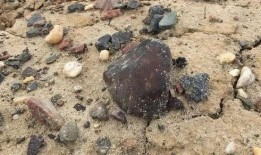 北京爆料陨石事件真相视频