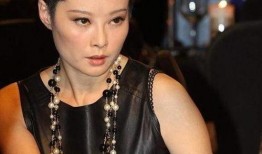 娱乐圈爆料江苏女星名单,娱乐圈风云再起，谁将引领潮流？