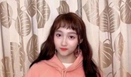 鹿晗反面爆料视频大全,背后真相与争议视频大盘点