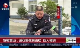 黄山记者爆料新闻视频,揭秘黄山最新动态