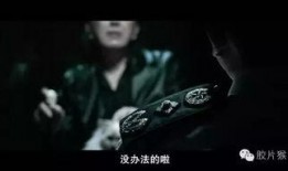 选老顶电影在线观看,一场穿越时空的奇幻冒险之旅