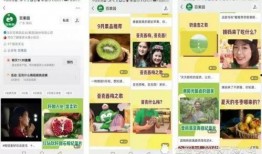 百果园爆料视频最新版,独家内幕大公开！