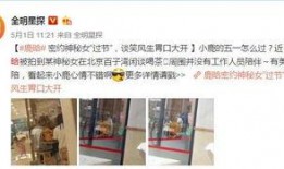 鹿晗反面爆料视频大全,背后真相与争议视频大盘点