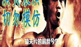 功夫电影在线观看,在线观看，畅享武侠世界