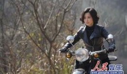 特工003在线观看,暗影行动，揭秘神秘任务