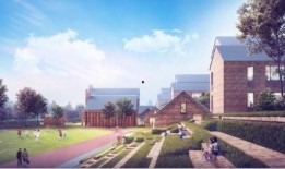 长春荷园路最新爆料,揭秘荷园路改造背后的故事