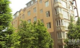 大连东财苑最新爆料,揭秘神秘项目背后的真相！”