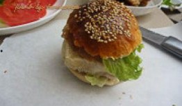 汉堡肉饼爆料视频播放下载,揭秘幕后制作过程与下载攻略