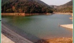 长春水库爆料视频最新,揭秘惊人真相！