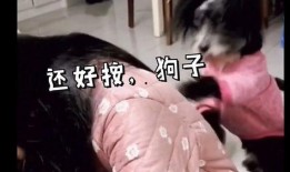 我又来爆料了搞笑视频,笑料连连！我又来爆料最新搞笑视频