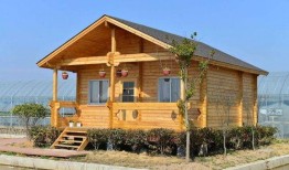 木屋爆料视频大全最新,最新视频大全深度解析