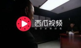 湖南都市渣男爆料新闻视频,视频揭露惊人真相