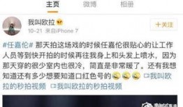 爆料一只小兜兜视频,网络爆红萌宠视频幕后故事