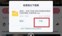 网红爆料素材视频大全免费,揭秘热门话题背后的真相