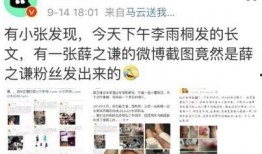 娱乐圈爆料总结,揭秘明星背后的故事与真相