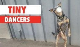 韩国511在线观看,在线观看，沉浸式追剧体验