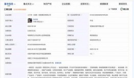 辛巴品牌爆料最新消息,揭秘神秘新品，引领潮流新风尚！