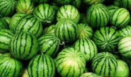 海外最新吃瓜爆料免费观看,揭秘海外最新吃瓜爆料，免费观看精彩瞬间