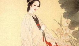 新英雄李清照爆料视频,揭秘新英雄李清照的神秘面纱