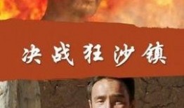 决战狂沙镇在线观看,沙场烽火，英雄豪情