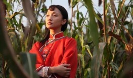 电视剧红高粱在线观看完整版,激情燃烧的岁月，热血沸腾的传奇