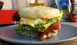 汉堡肉饼爆料视频播放下载,揭秘幕后制作过程与下载攻略