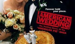 美国派3在线观看免费,疯狂再起，免费观影盛宴