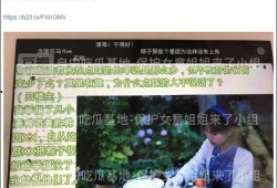 韩国竞选者爆料视频大全,揭秘政坛风云录