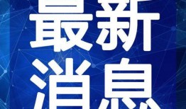 四哥哈尔滨爆料视频最新,四哥视频揭秘城市新动态